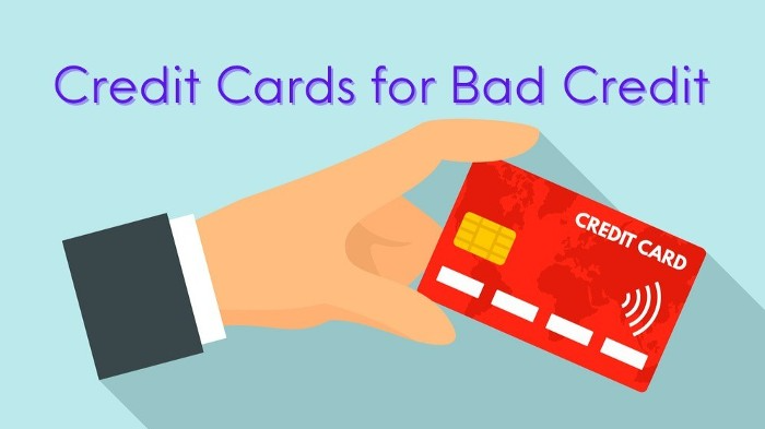 Rebuilding Credit: The Indigo Card for Bad Credit